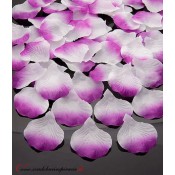 Lupene ruží - bielo-fialové